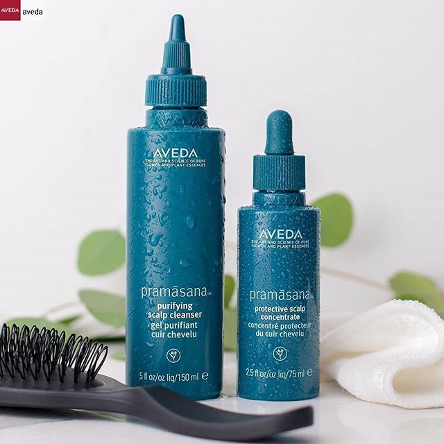 Give your scalp the care it deserves in 2018 with our complete scalp care lineup, including #Pramasana, Scalp Benefits, and Scalp Remedy. There's something for everyone and every scalp.