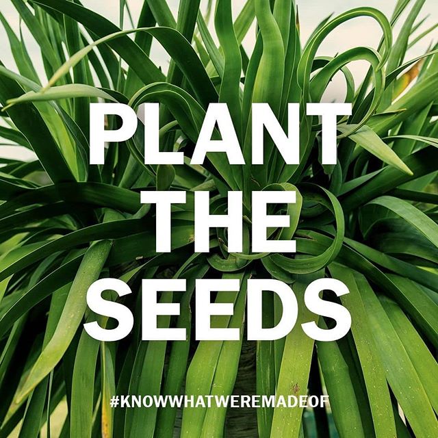 A beautiful tomorrow starts today. When we work together to care for the world we live in, there's no limit to what we can accomplish. How will YOU carry out the #AvedaMission today?